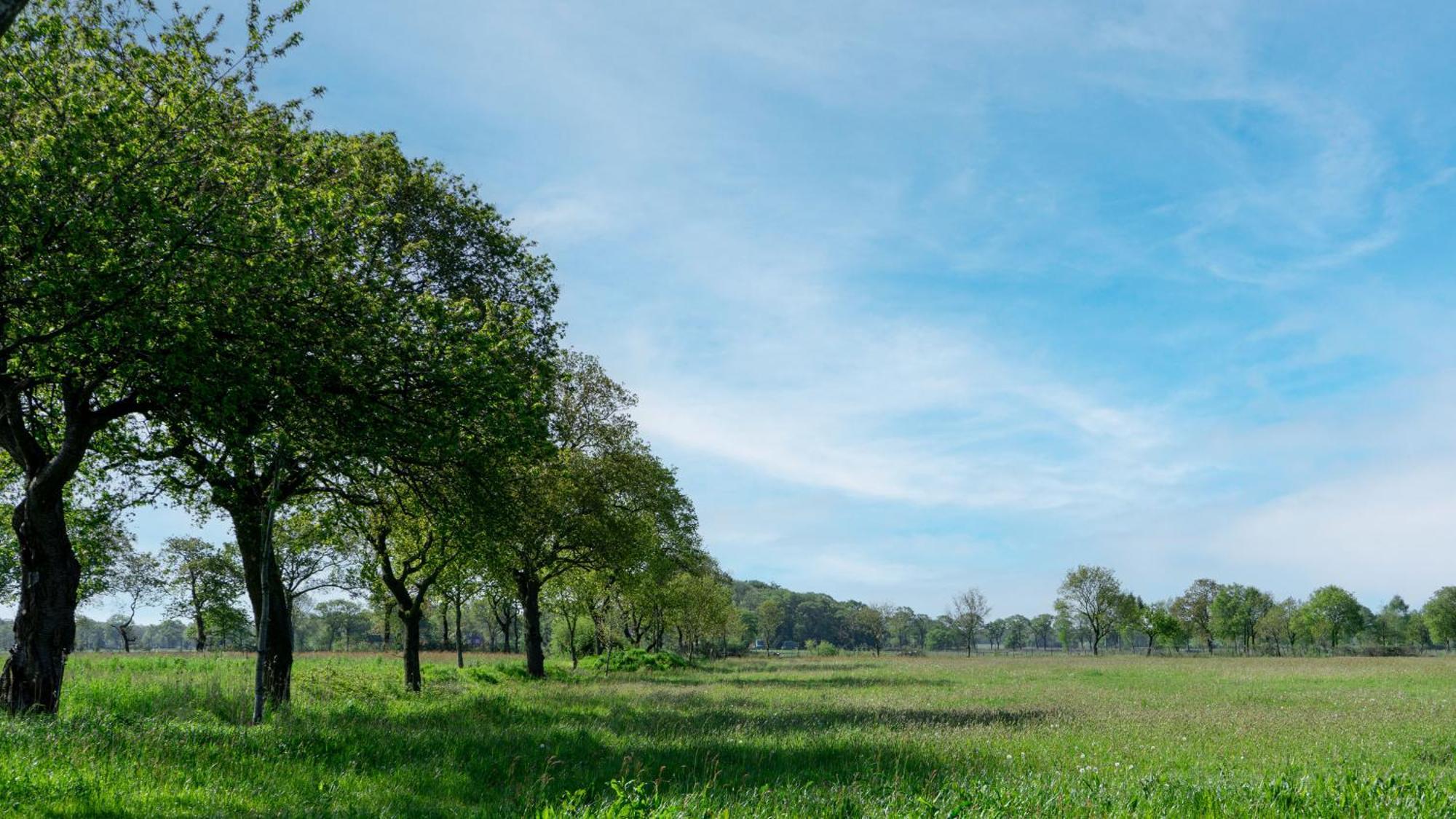 Friesensee Camping Und Ferienpark Wittmund Exteriör bild